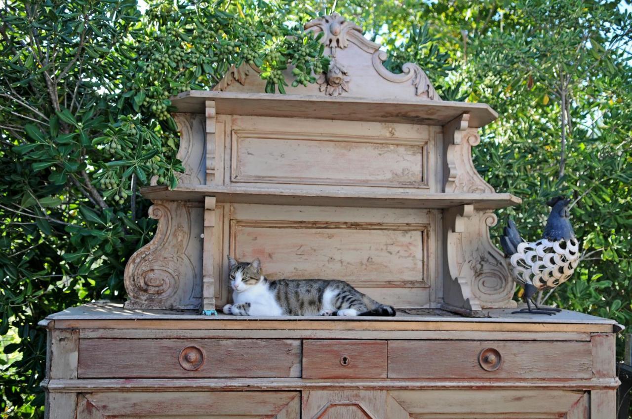 B&B La Terre Brulee エーグ・モルト エクステリア 写真